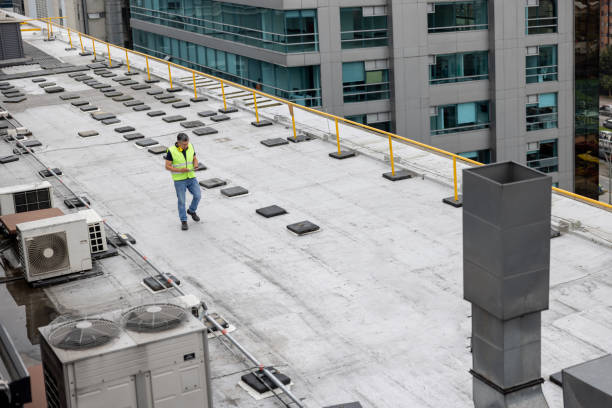 Best Roof Coating and Sealing  in Ivey, GA